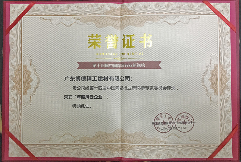 年度風(fēng)云企業(yè)證書.jpg